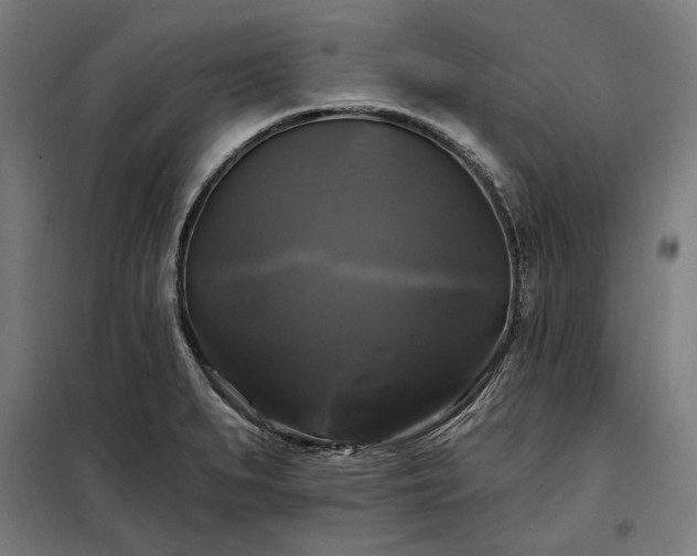 X0000097991279200804021000