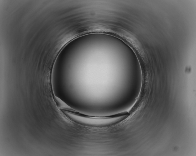X0000097991281200804021000