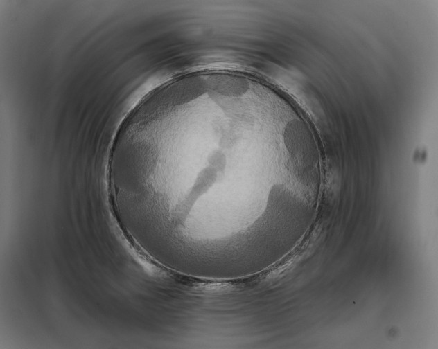 X0000097991282200804021000