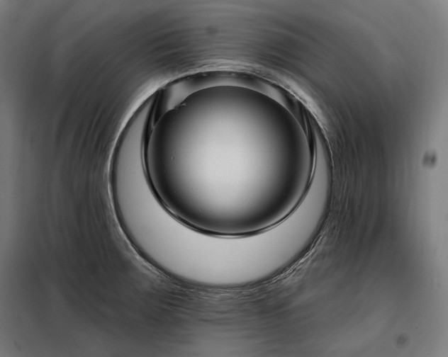 X0000097991283200804021000