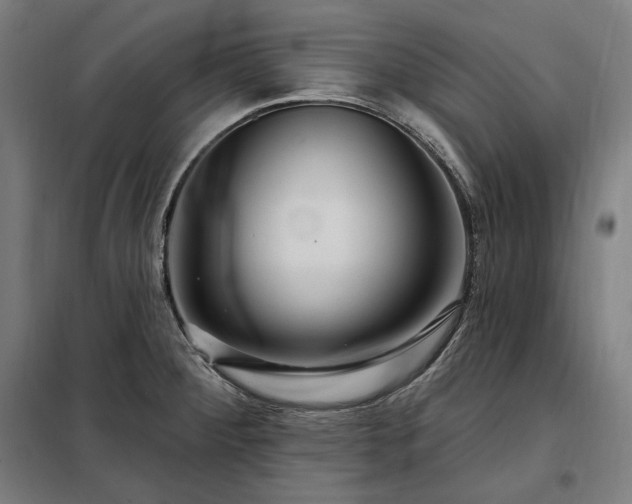 X0000097991284200804021000