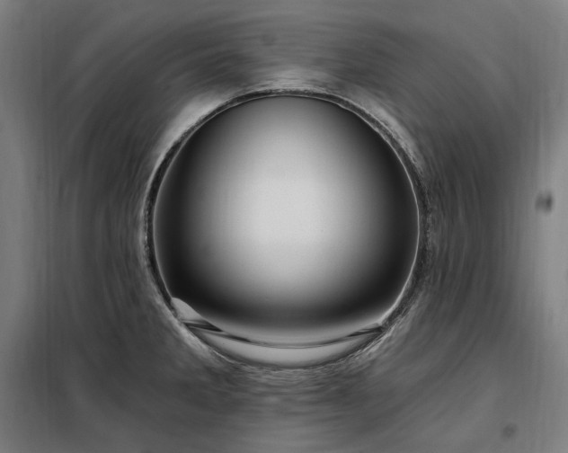 X0000097991285200804021000
