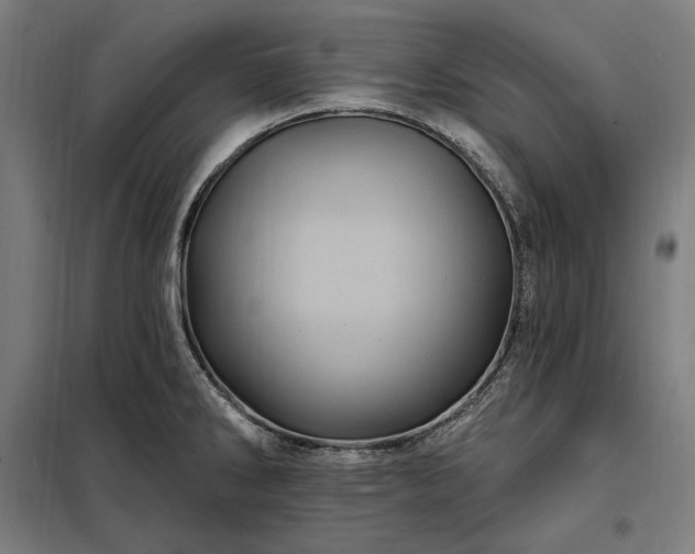 X0000097991286200804021000