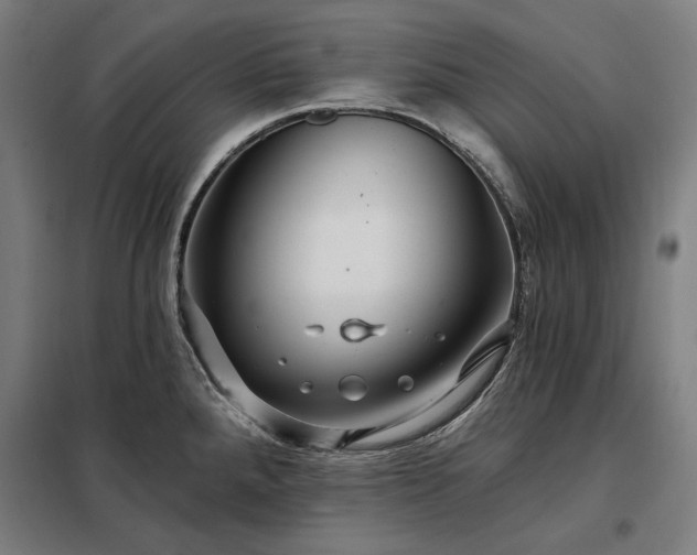 X0000097991288200804021000