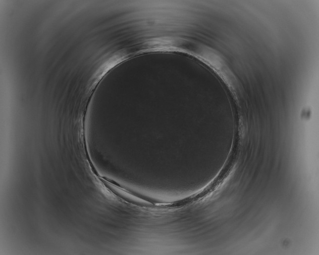 X0000097991289200804021000