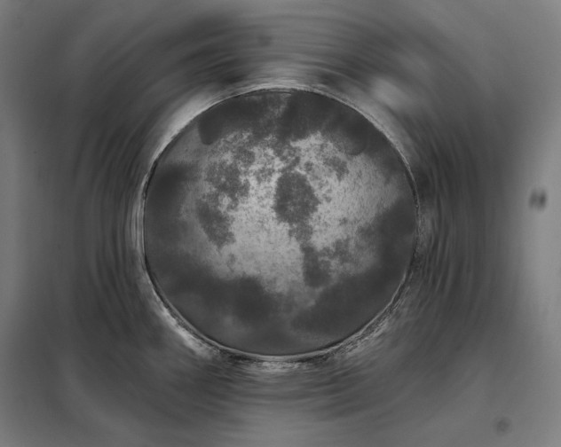 X0000097991290200804021000
