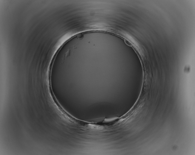 X0000097991291200804021000