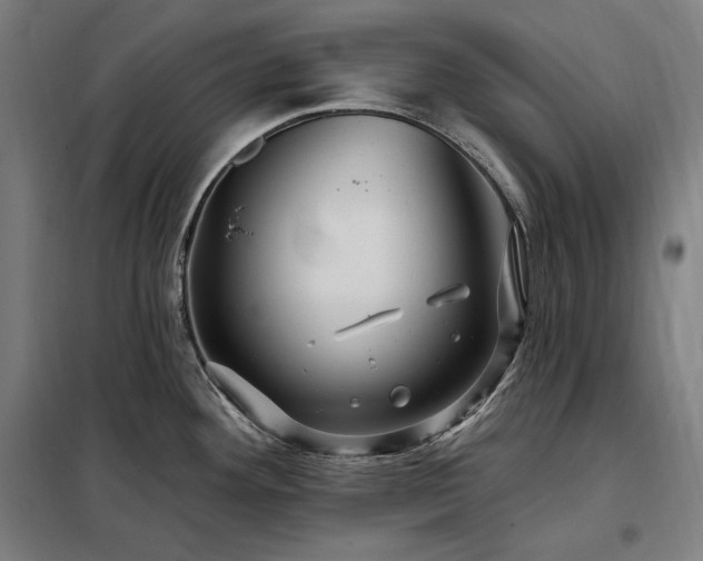 X0000097991292200804021000