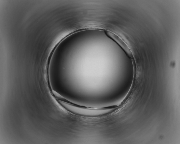 X0000097991293200804021000