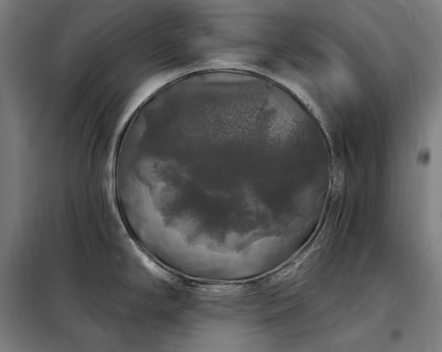 X0000097991294200804021000