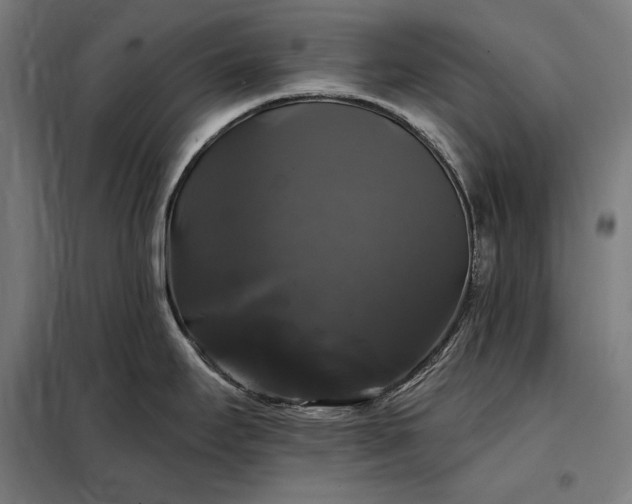 X0000097991295200804021000