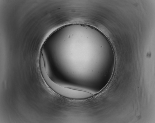 X0000097991296200804021000