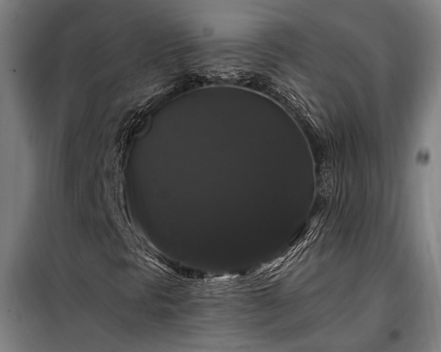 X0000097991297200804020959