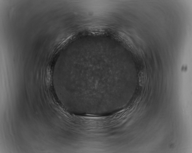 X0000097991298200804020959
