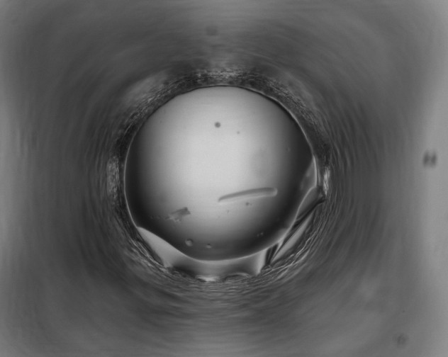 X0000097991299200804020959