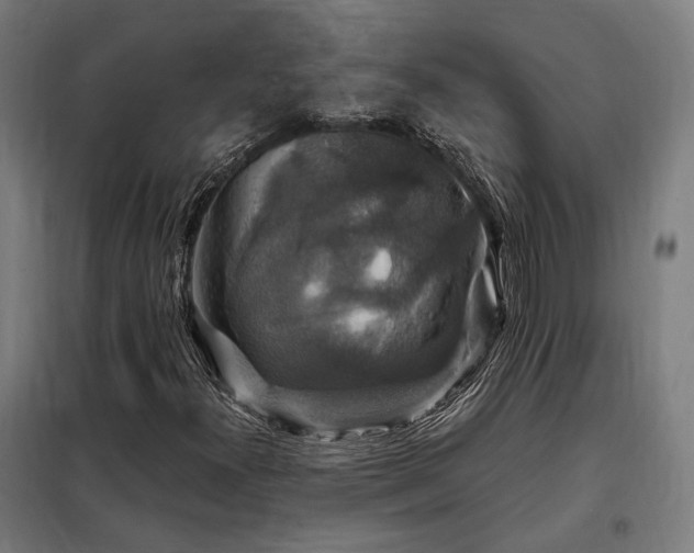 X0000097991300200804020959