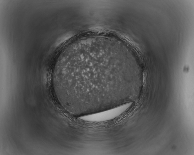 X0000097991302200804020959