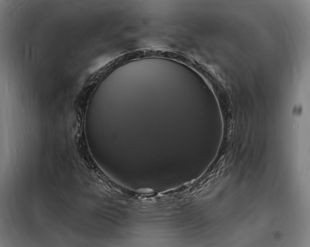 X0000097991303200804020959