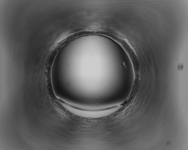 X0000097991304200804020959