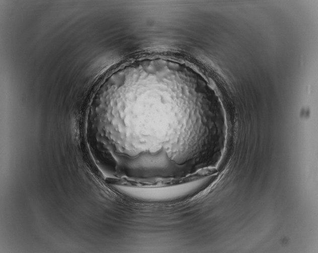 X0000097991305200804020959