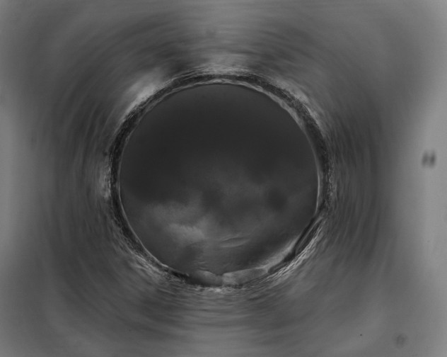 X0000097991306200804020959