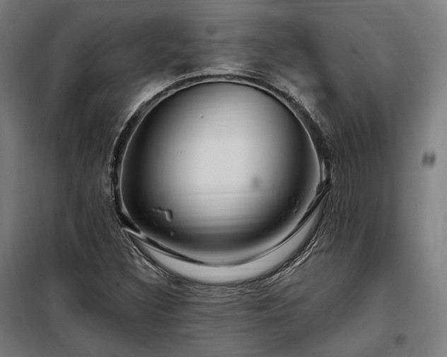 X0000097991308200804020959