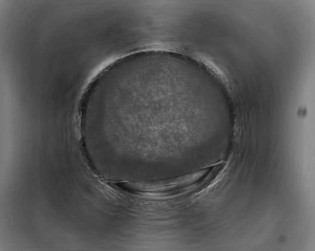 X0000097991310200804020959