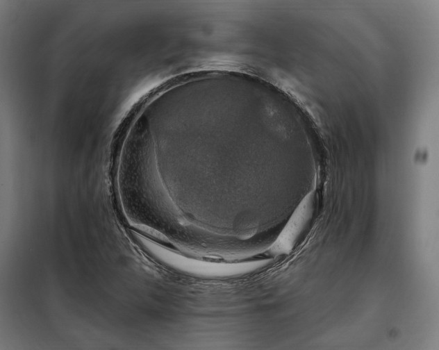 X0000097991312200804020959