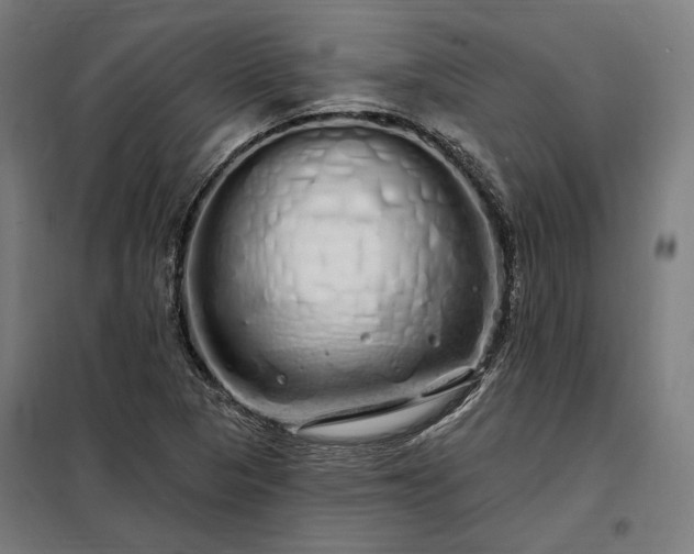 X0000097991313200804020959