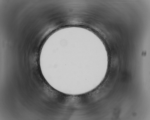 X0000097991314200804020959