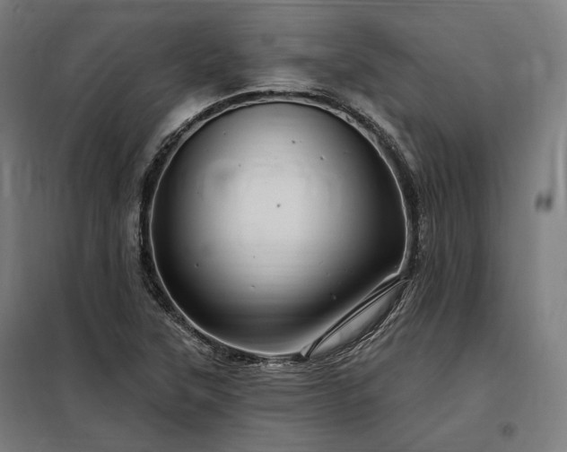 X0000097991315200804020959