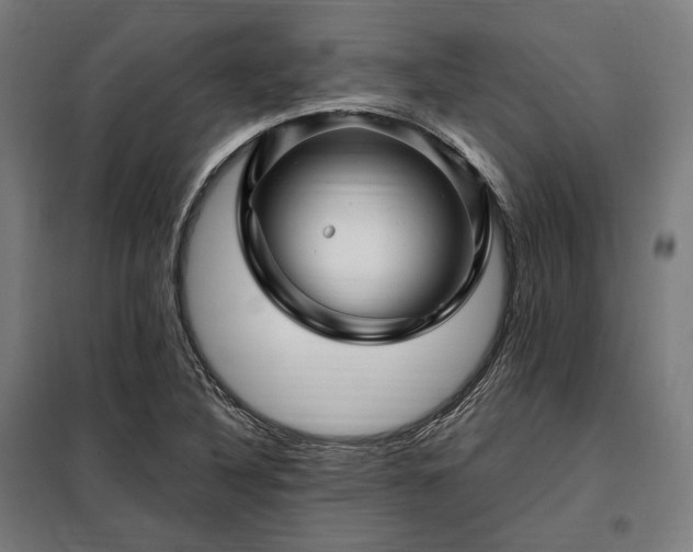 X0000097991316200804020959