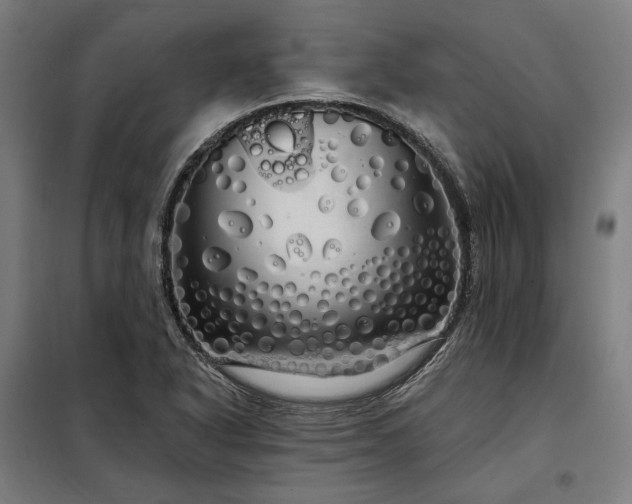 X0000097991318200804020959