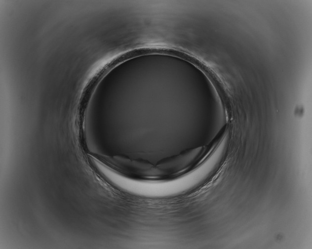 X0000097991319200804020959