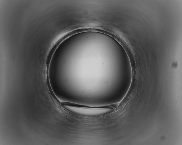 X0000097991320200804020959