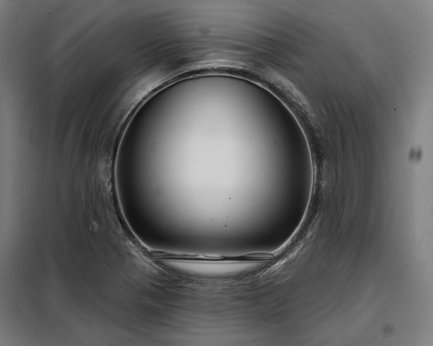 X0000097991321200804020959