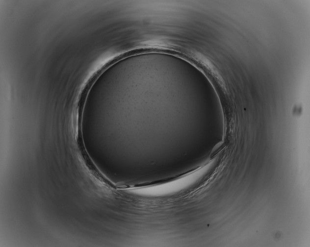 X0000097991323200804020959