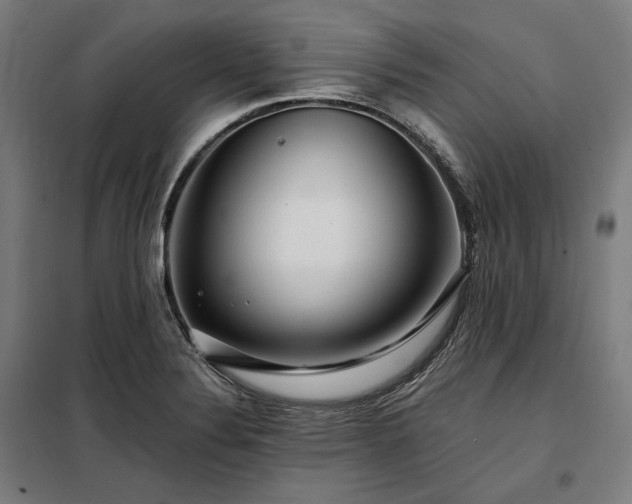 X0000097991324200804020959