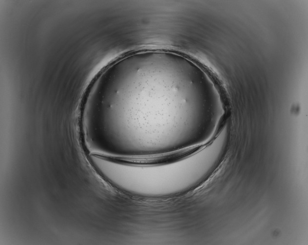 X0000097991325200804020959