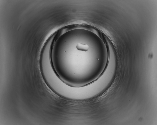 X0000097991326200804020959