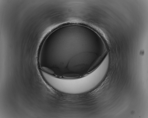 X0000097991327200804020959