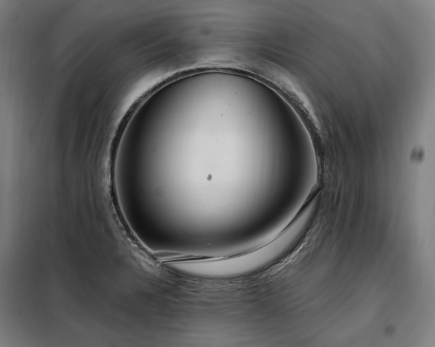 X0000097991328200804020959