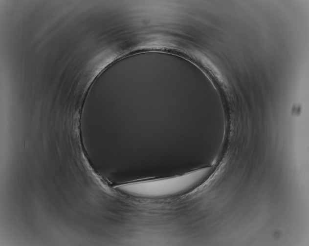 X0000097991329200804020959