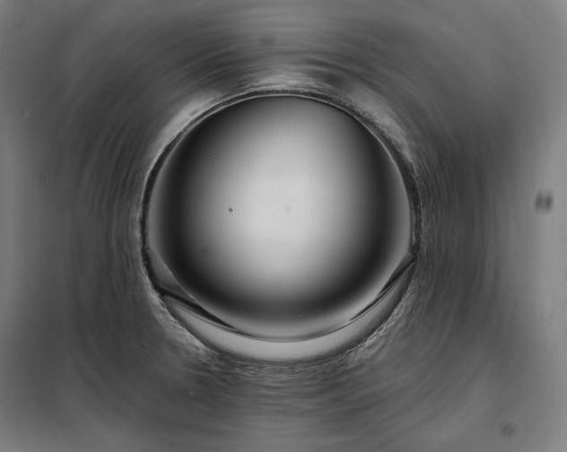 X0000097991330200804020959