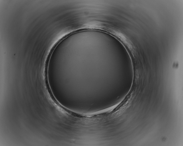 X0000097991331200804020959