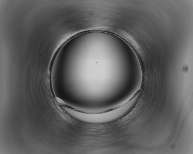 X0000097991332200804020959
