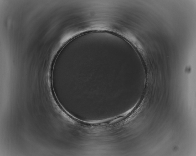 X0000097991334200804021000