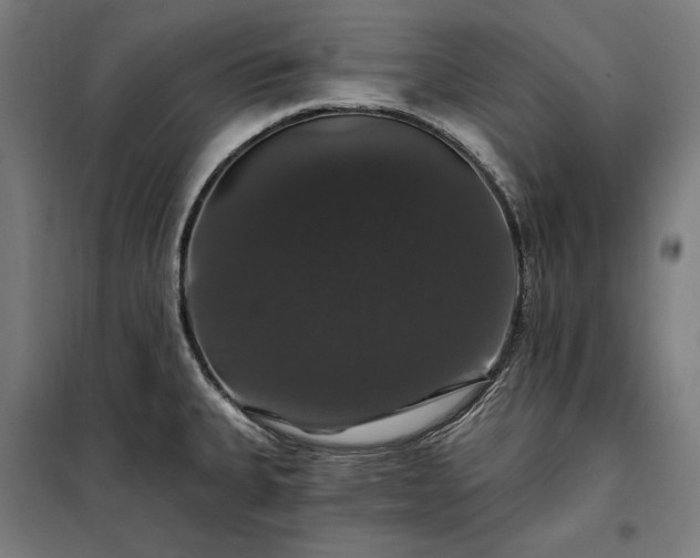 X0000097991335200804021000