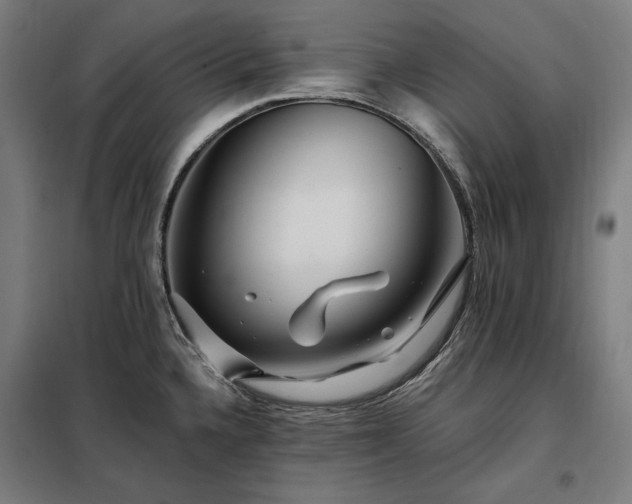 X0000097991336200804021000