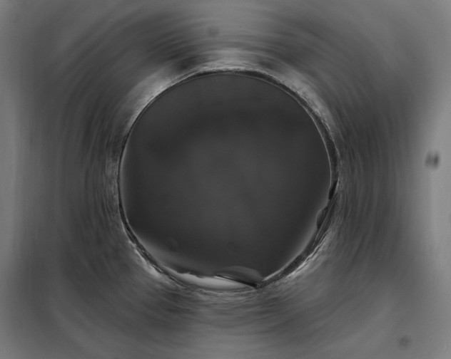 X0000097991337200804021000